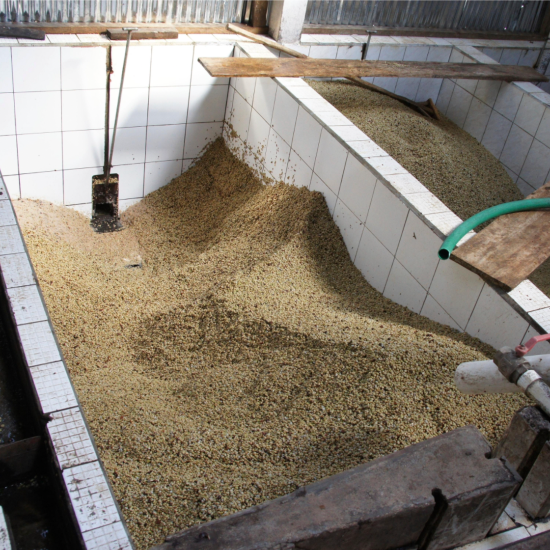 The Barn Caballero cafea 250g caisa