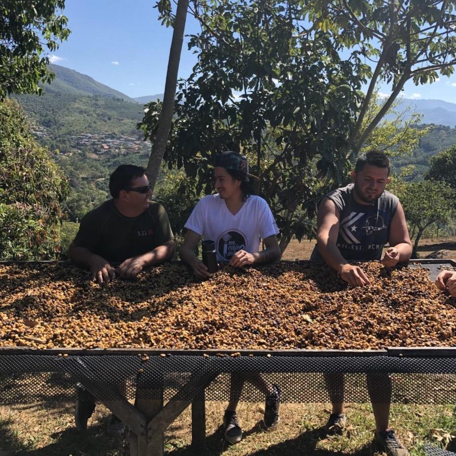 The Barn Juanachute cafea boabe 250g anaerobica