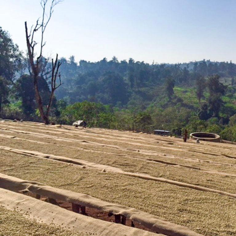 The Barn Kayon Mountain cafea boabe 250g fructata