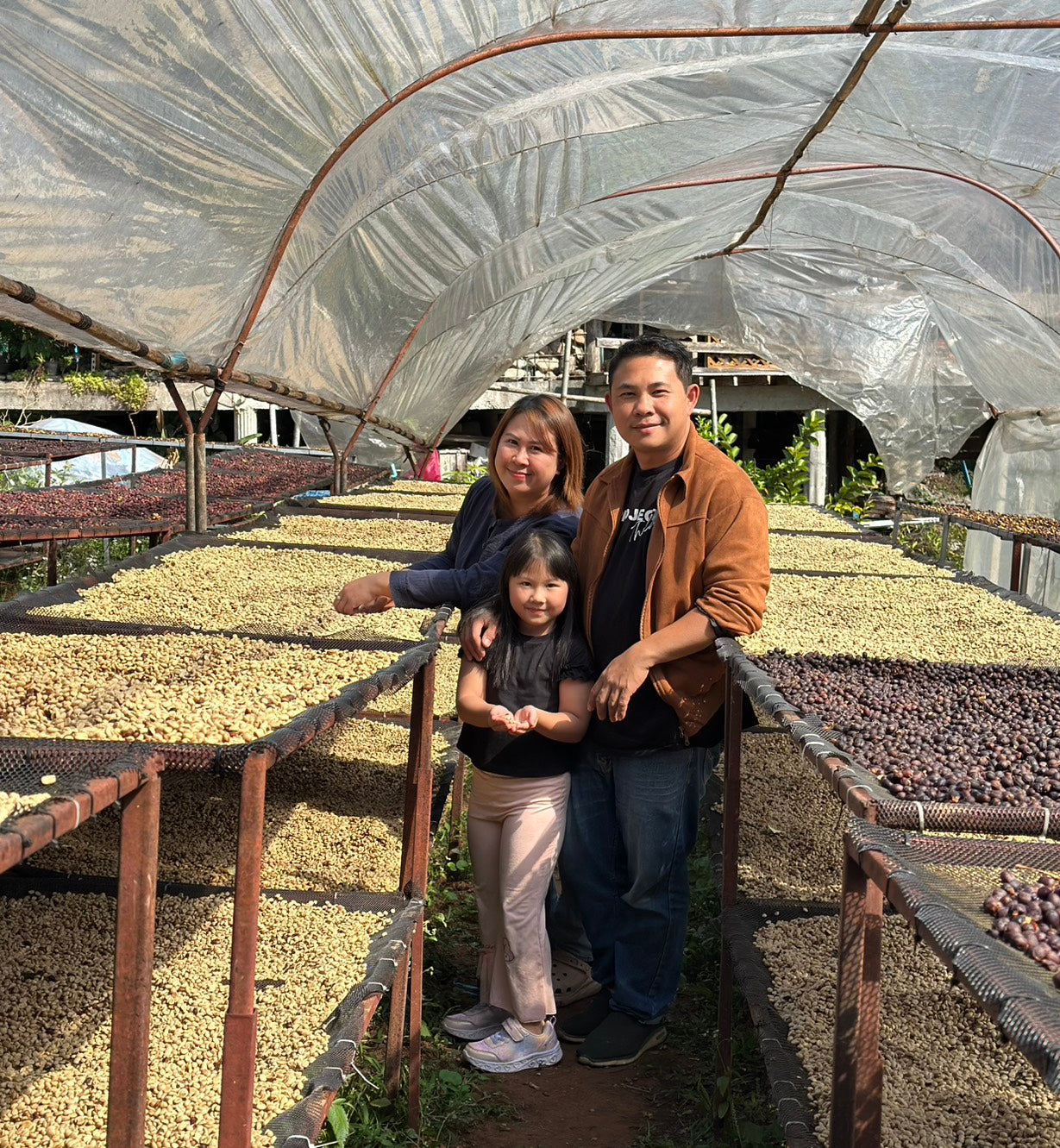 The Barn Doi Saket cafea boabe 250g fructata