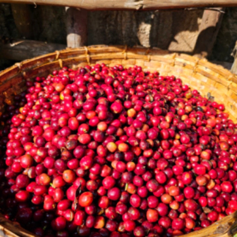 The Barn Bekele Kechara cafea boabe 200g natural