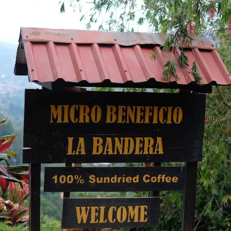 The Barn La Bandera cafea boabe 250g naturală