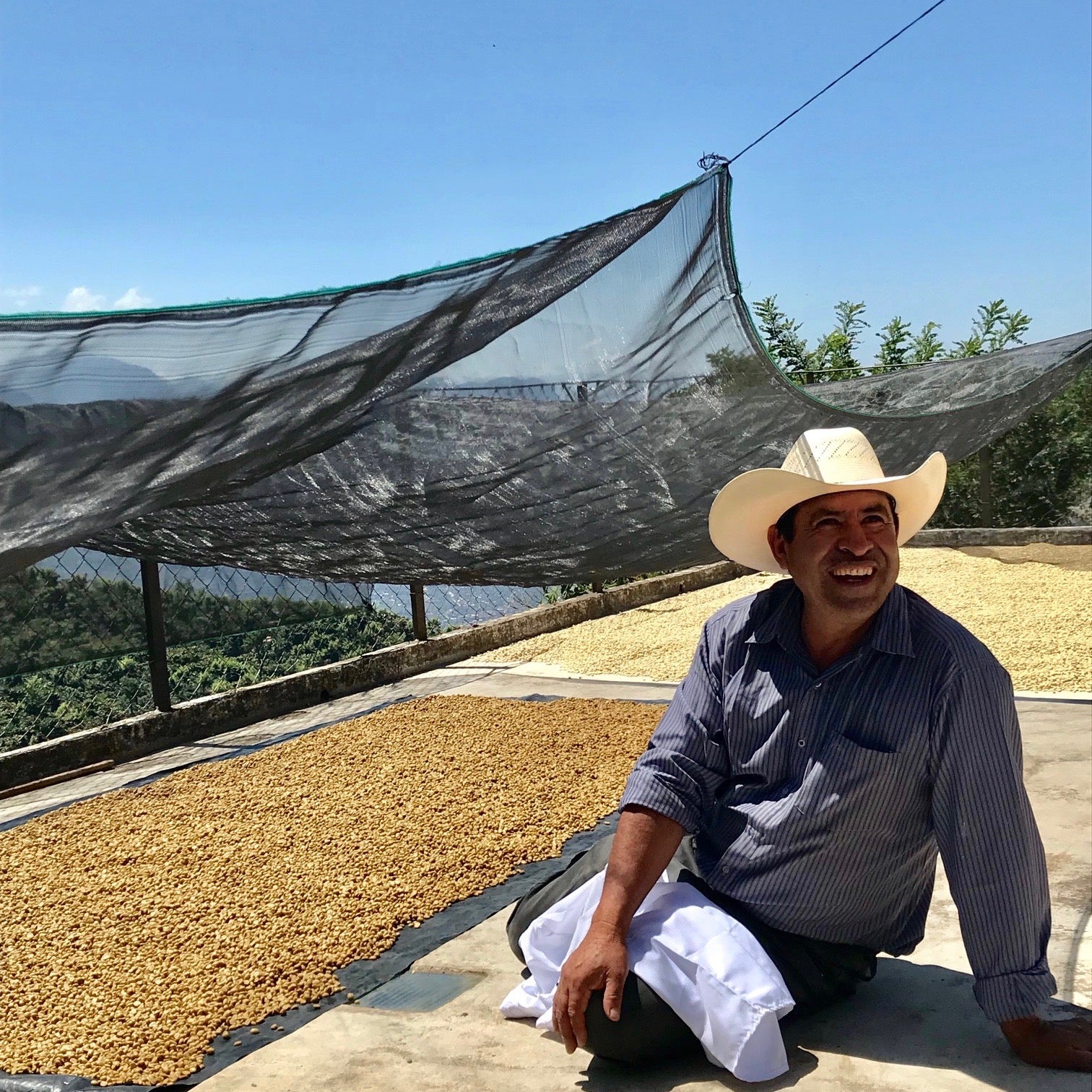 The Barn Los Naranjales cafea boabe 250g portocală dulce