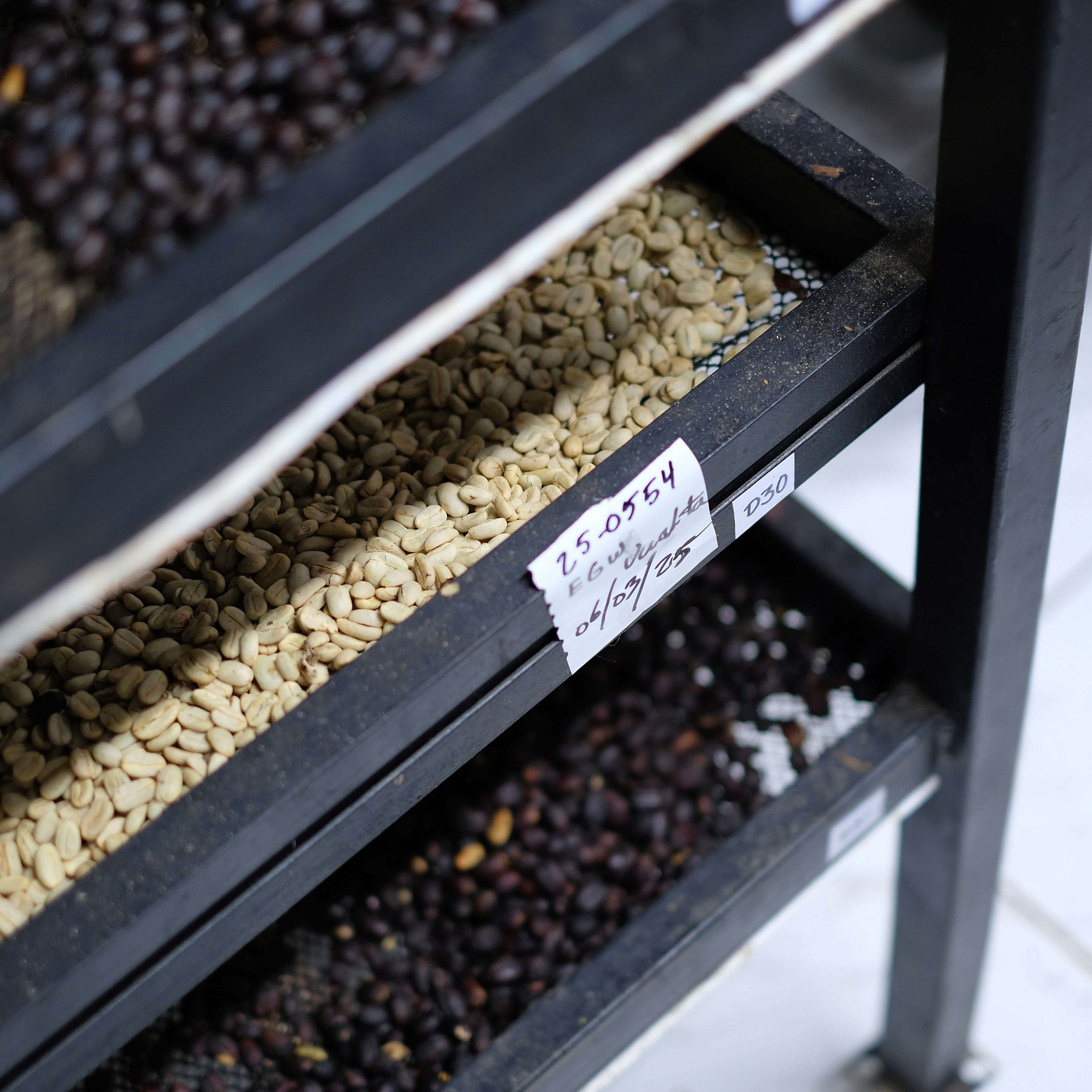 The Barn Elida Gesha Natural cafea boabe 125g Panama