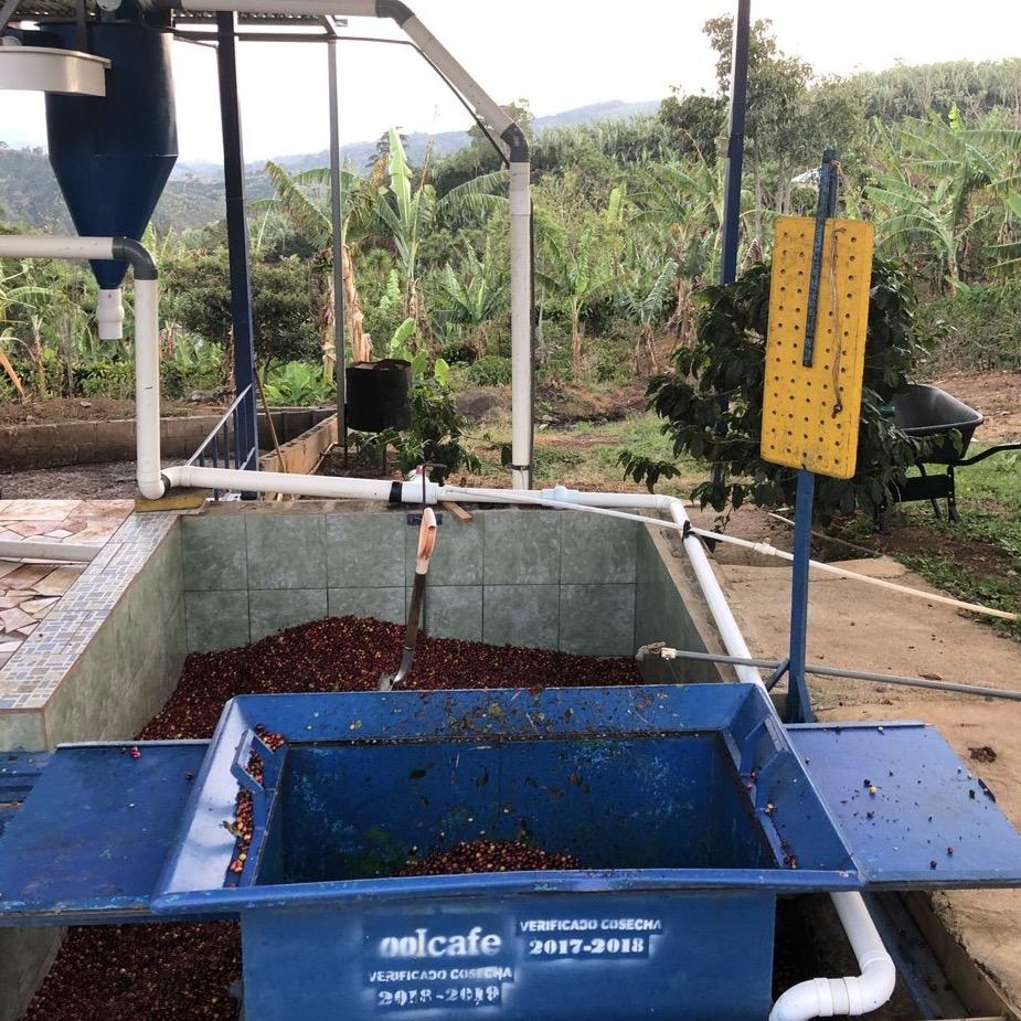 The Barn Juanachute cafea boabe 250g anaerobica