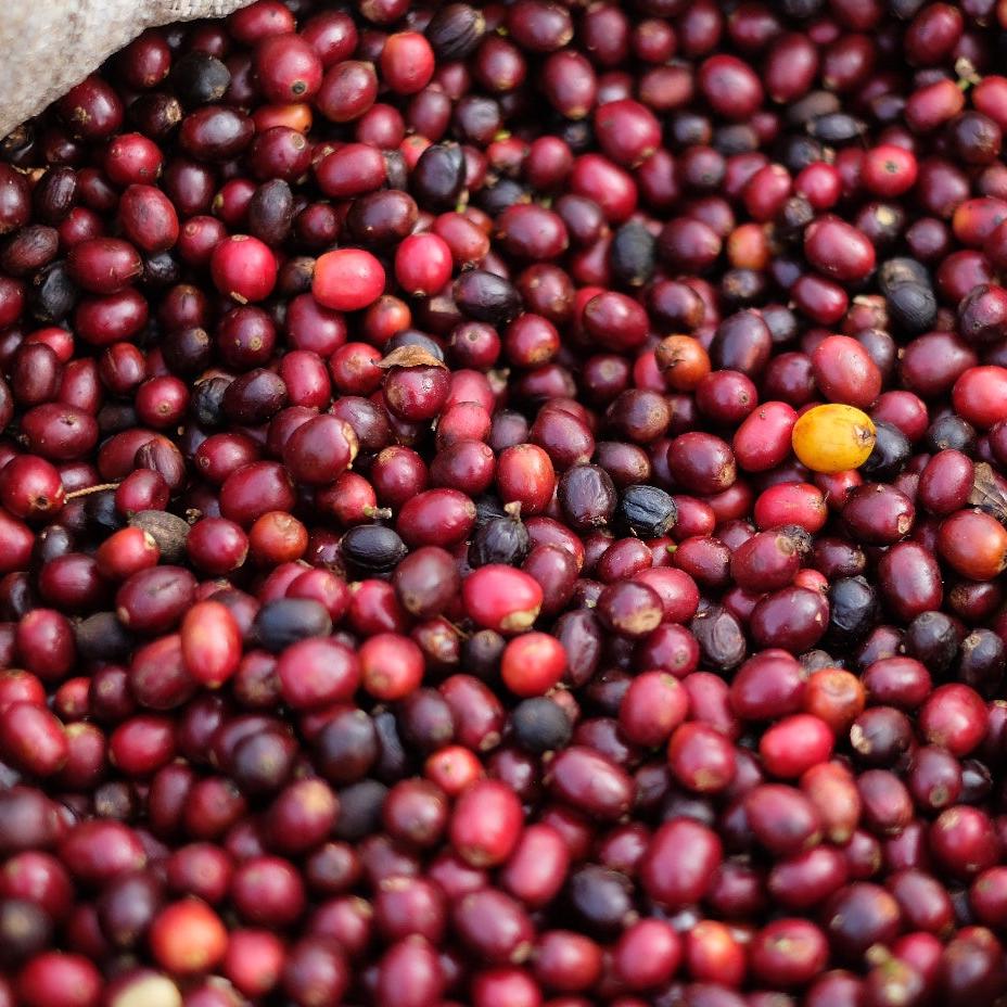The Barn Christmas Coffee cafea boabe 250g nuga dulce