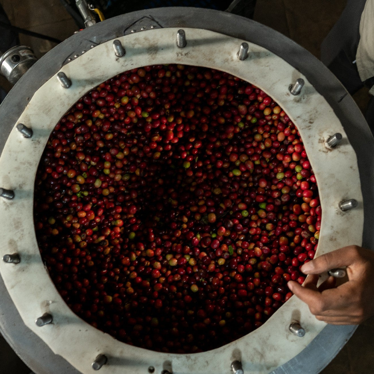 The Barn Yemen Alchemy cafea boabe 100g filtru