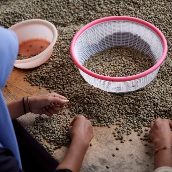 The Barn Asman Gayo cafea boabe 200g natural
