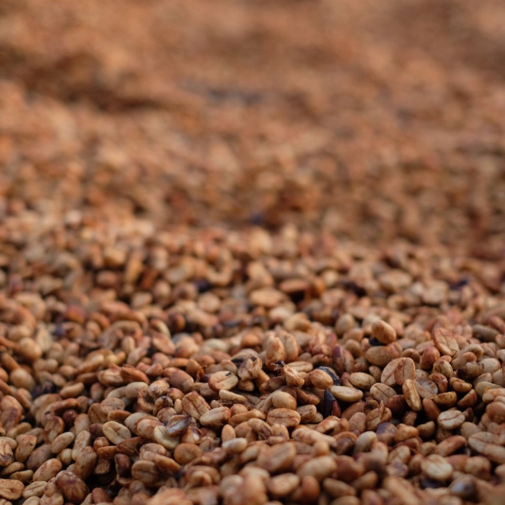 The Barn El Salitre cafea boabe 250g red honey