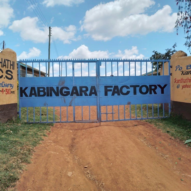 The Barn Kabingara AB cafea boabe 250g Kenya spalata