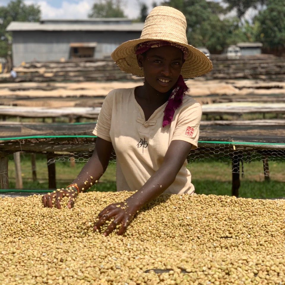 The Barn Nano Challa cafea boabe 250g spălată