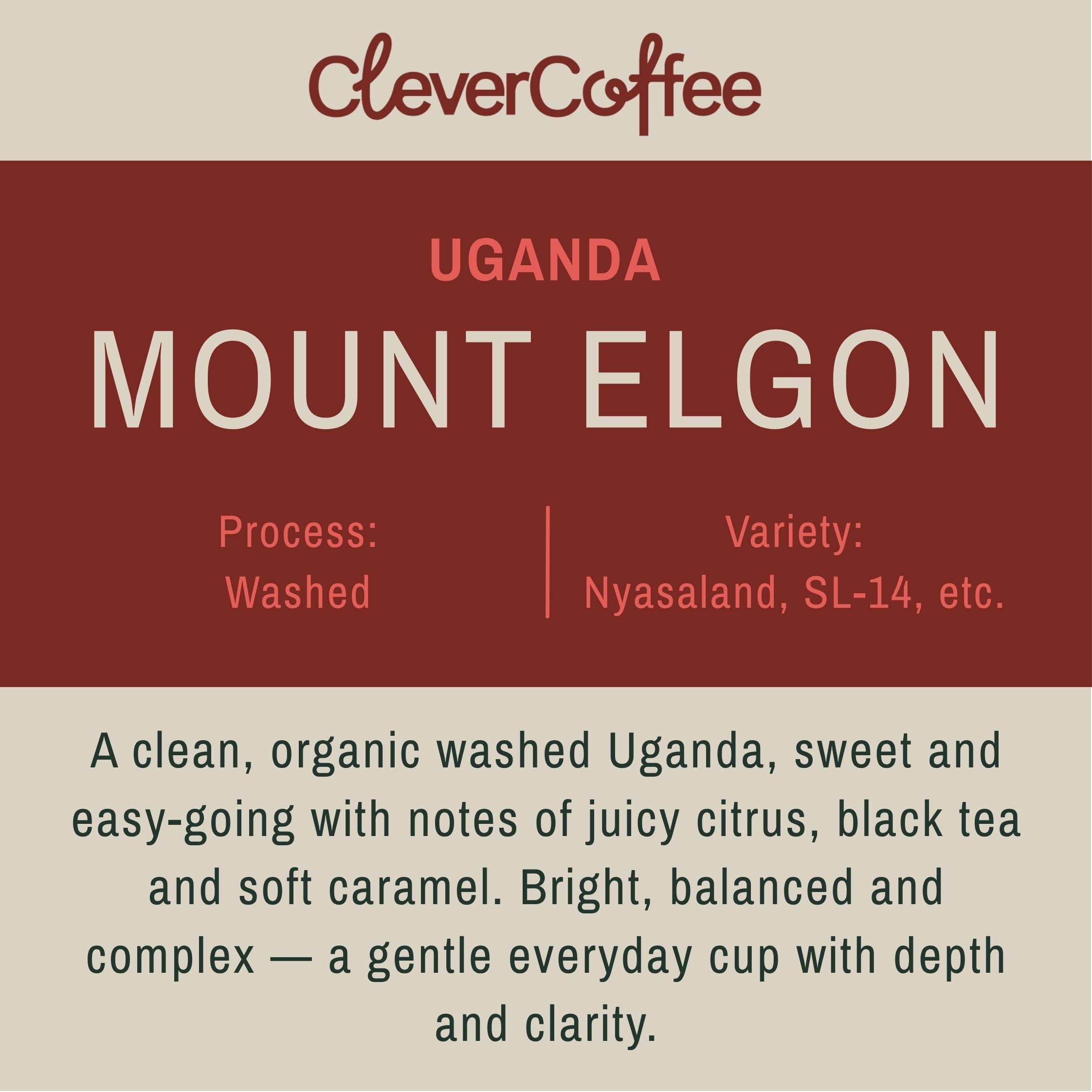 Clever Coffee Mount Elgon Uganda cafea boabe 250g prajire filtru