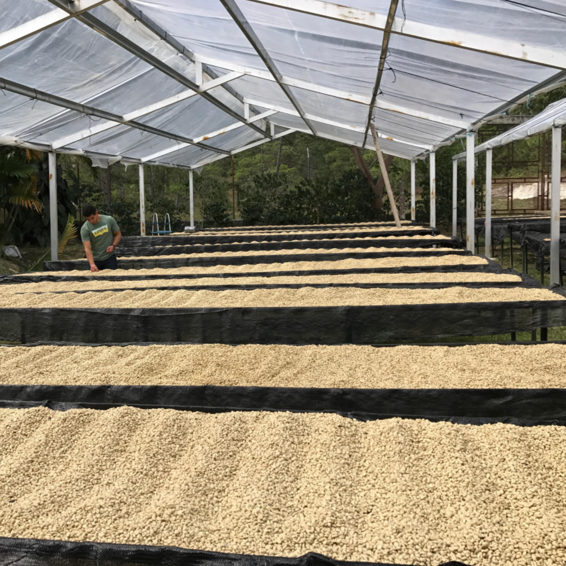 The Barn Caballero cafea 250g caisa