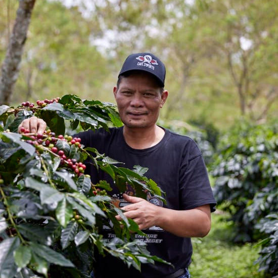 The Barn Asman Gayo cafea boabe 200g natural