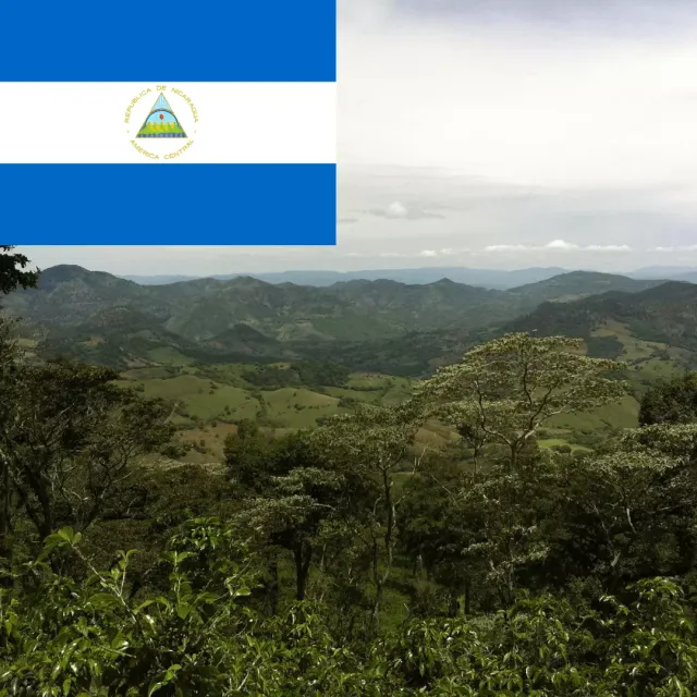LEONARD Caffe Nicaragua Matagalpa cafea arabica single origin