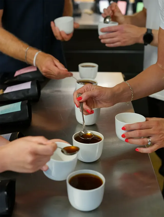 Tim Wendelboe Coffee Tasting and Roastery Tour degustare cafea
