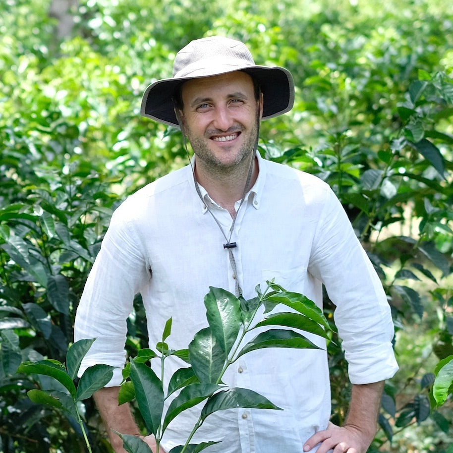 The Barn Laurina Low Caf cafea boabe 250g low-caf