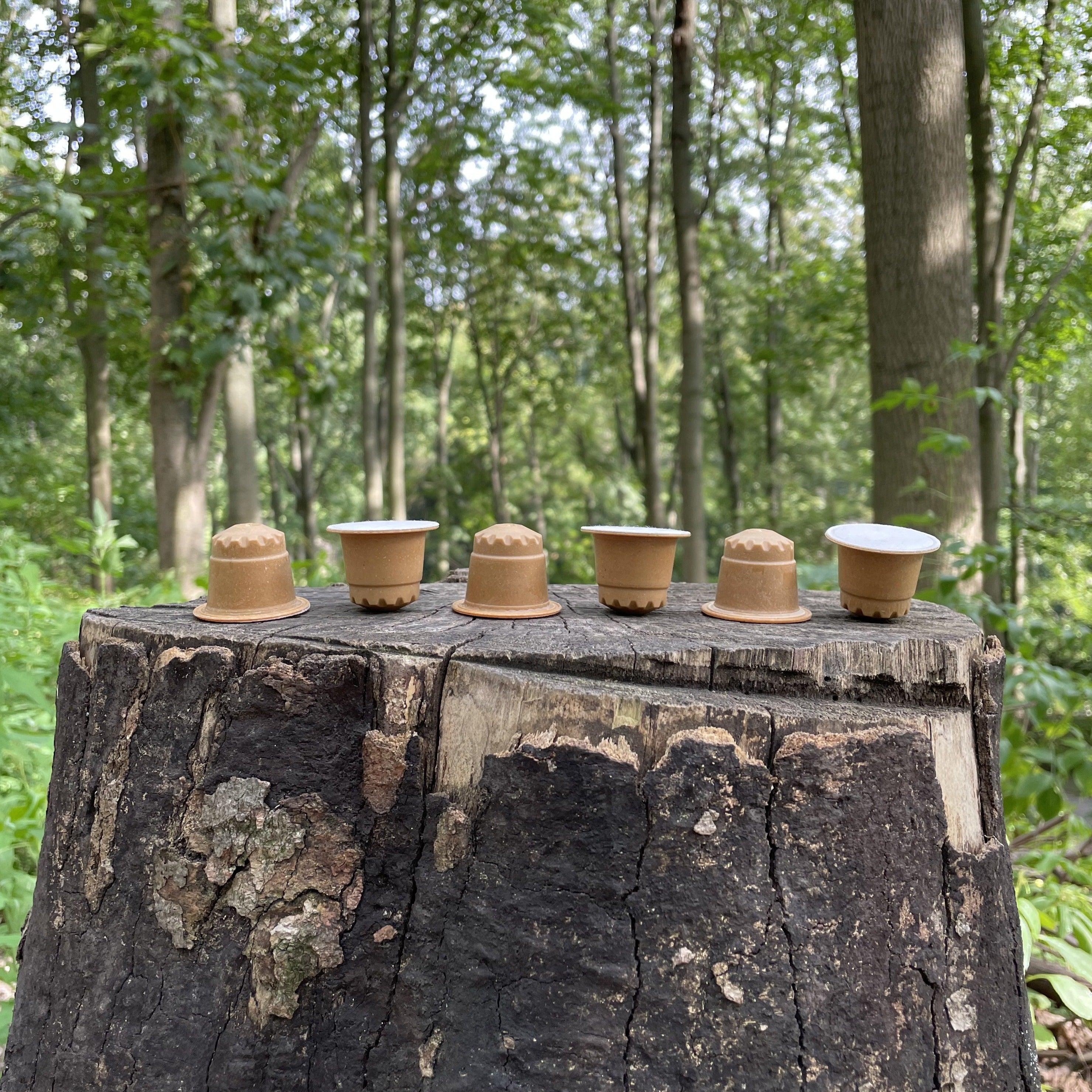 The Barn Capsule cafea Brazilia 14buc echilibrată