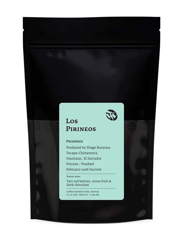 Tim Wendelboe Los Pirineos Pacamara cafea fructată