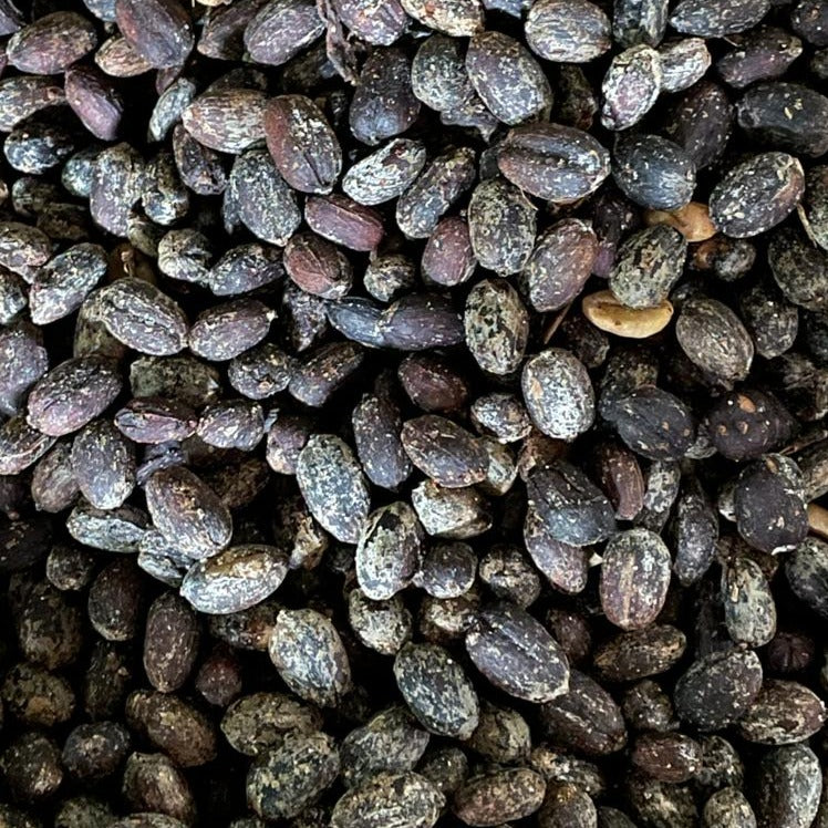 The Barn El Vergel Gesha cafea boabe 250g koji natural