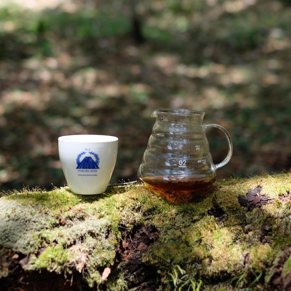The Barn Volcan Azul Gesha Honey cafea boabe 200g