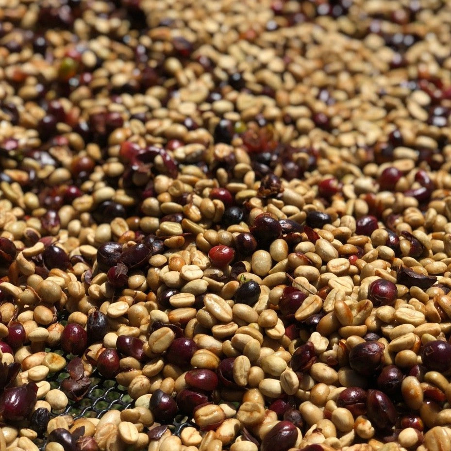 The Barn Juanachute cafea boabe 250g anaerobica