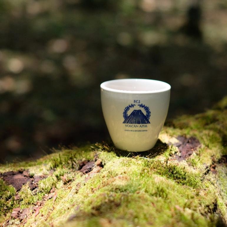 The Barn Laurina Low Caf cafea boabe 250g low-caf