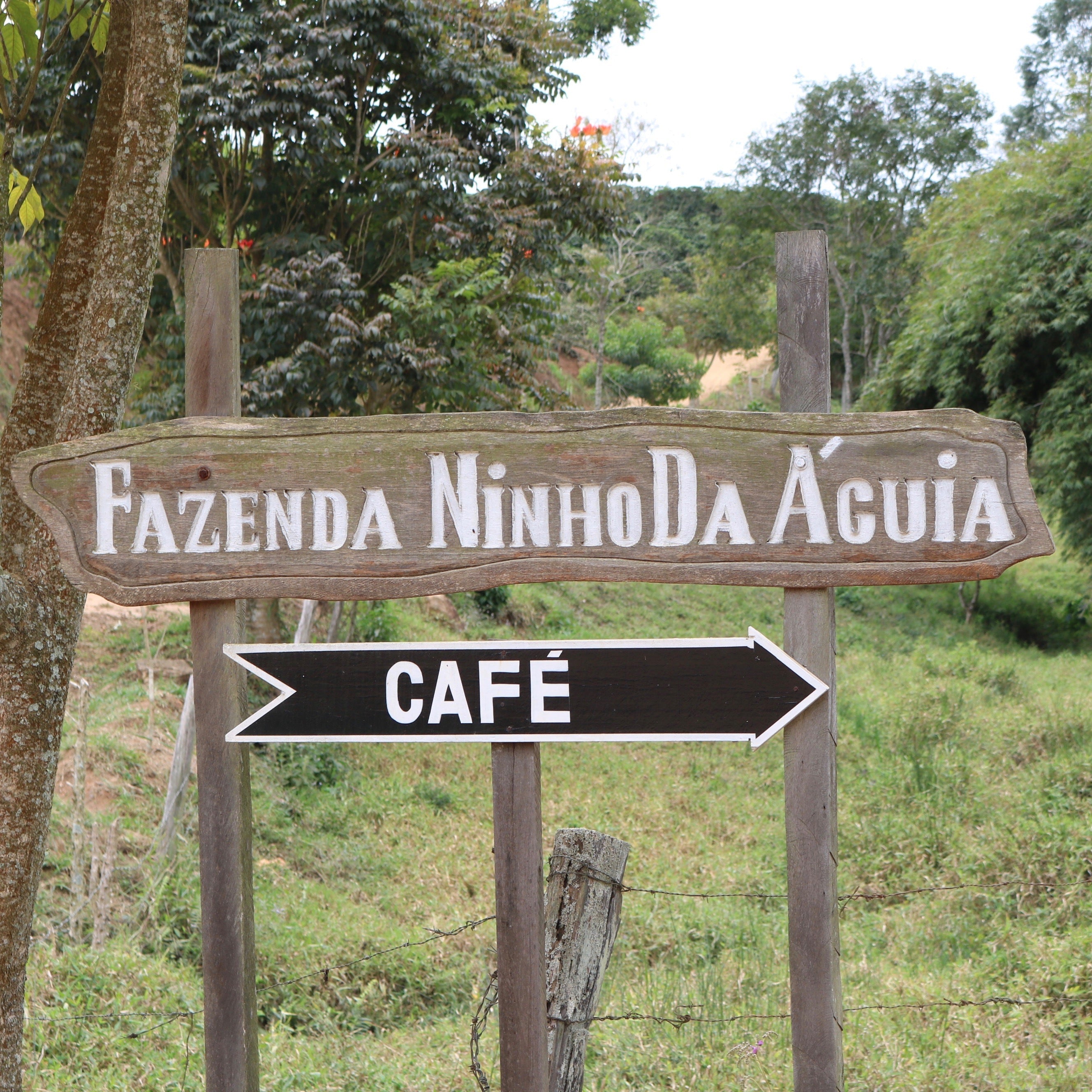 The Barn Ninho da Aguia cafea boabe 250g Brazilia