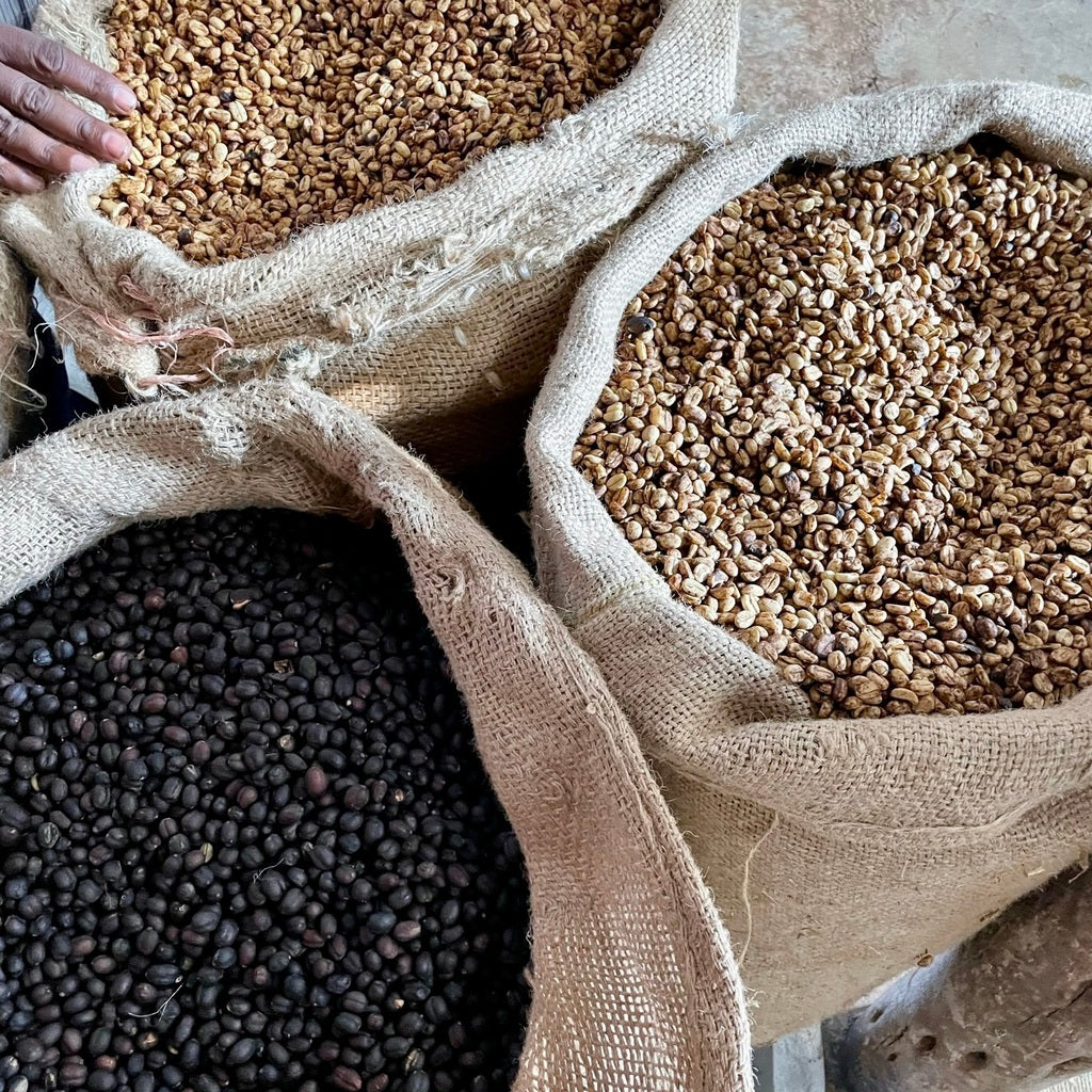 The Barn Genesis cafea boabe 250g Etiopia naturala