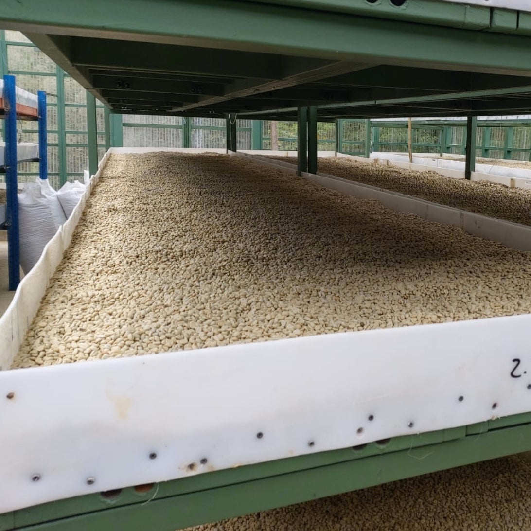 The Barn Santa Irene cafea boabe 250g spalata