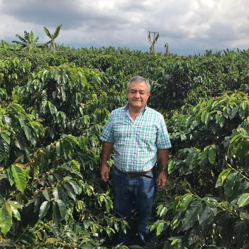 The Barn Casa Negra cafea boabe 250g espresso
