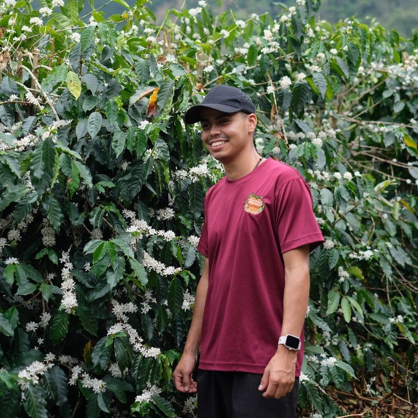 The Barn El Salitre cafea boabe 250g red honey