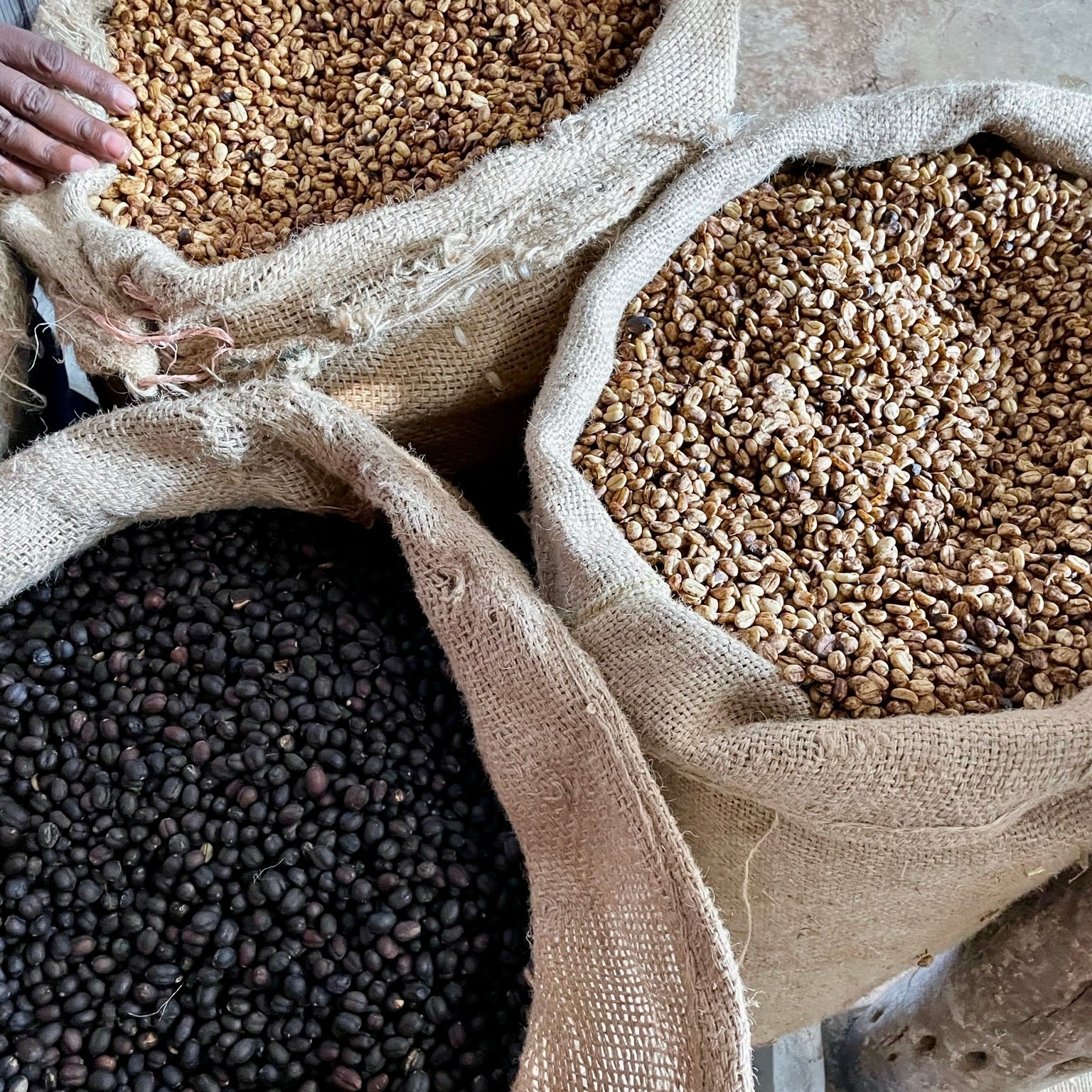 The Barn Mohamed Ali cafea boabe 250g naturala