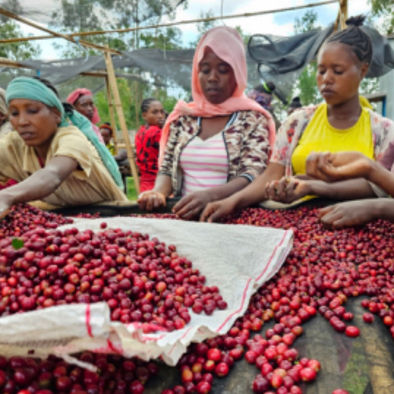 The Barn Bekele Kechara cafea boabe 200g natural