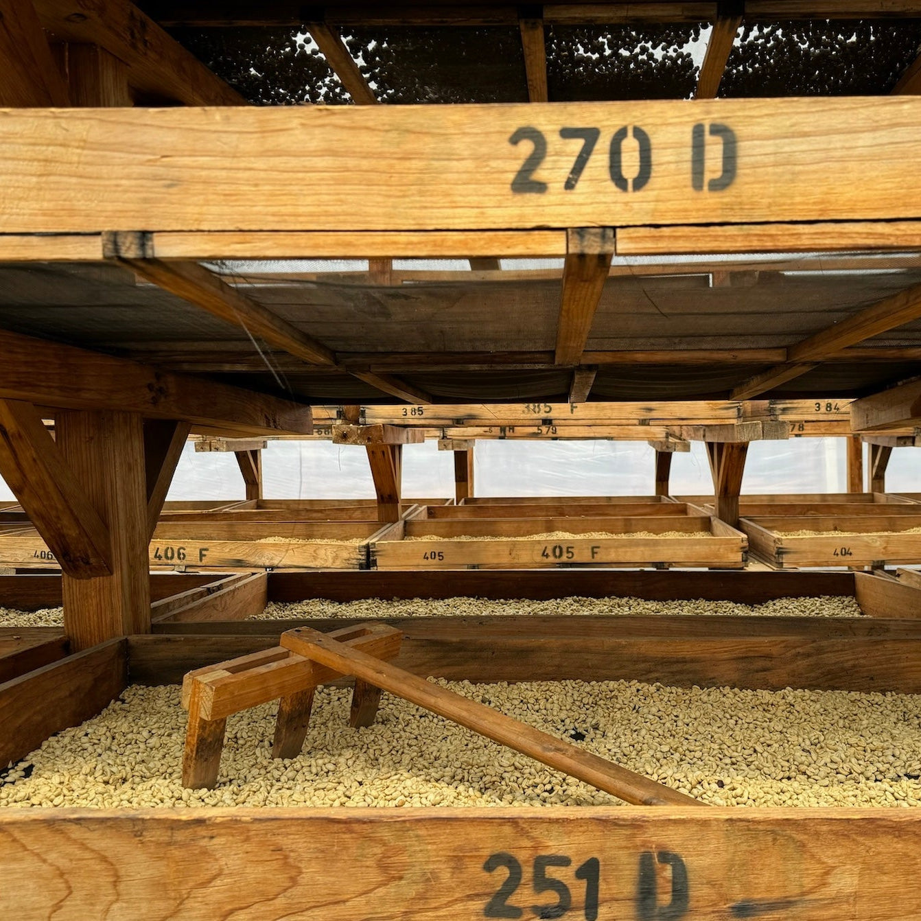 The Barn Atlas cafea boabe 250g Guatemala espresso