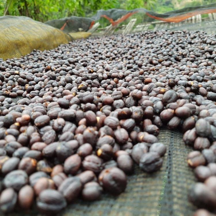 The Barn Banko Gotiti cafea 250g espressor