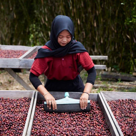 The Barn Asman Gayo cafea boabe 200g natural