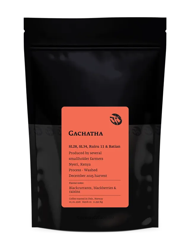 Tim Wendelboe Gachatha cafea Kenya fructată