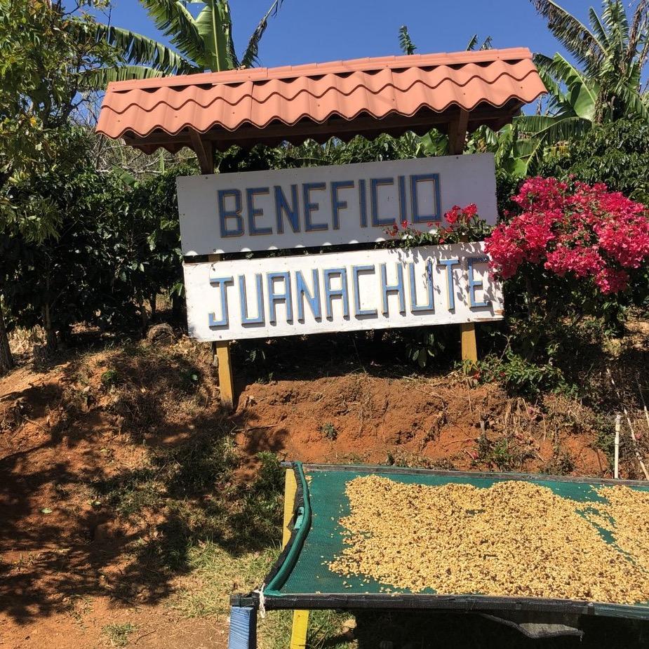 The Barn Juanachute cafea boabe 250g anaerobica