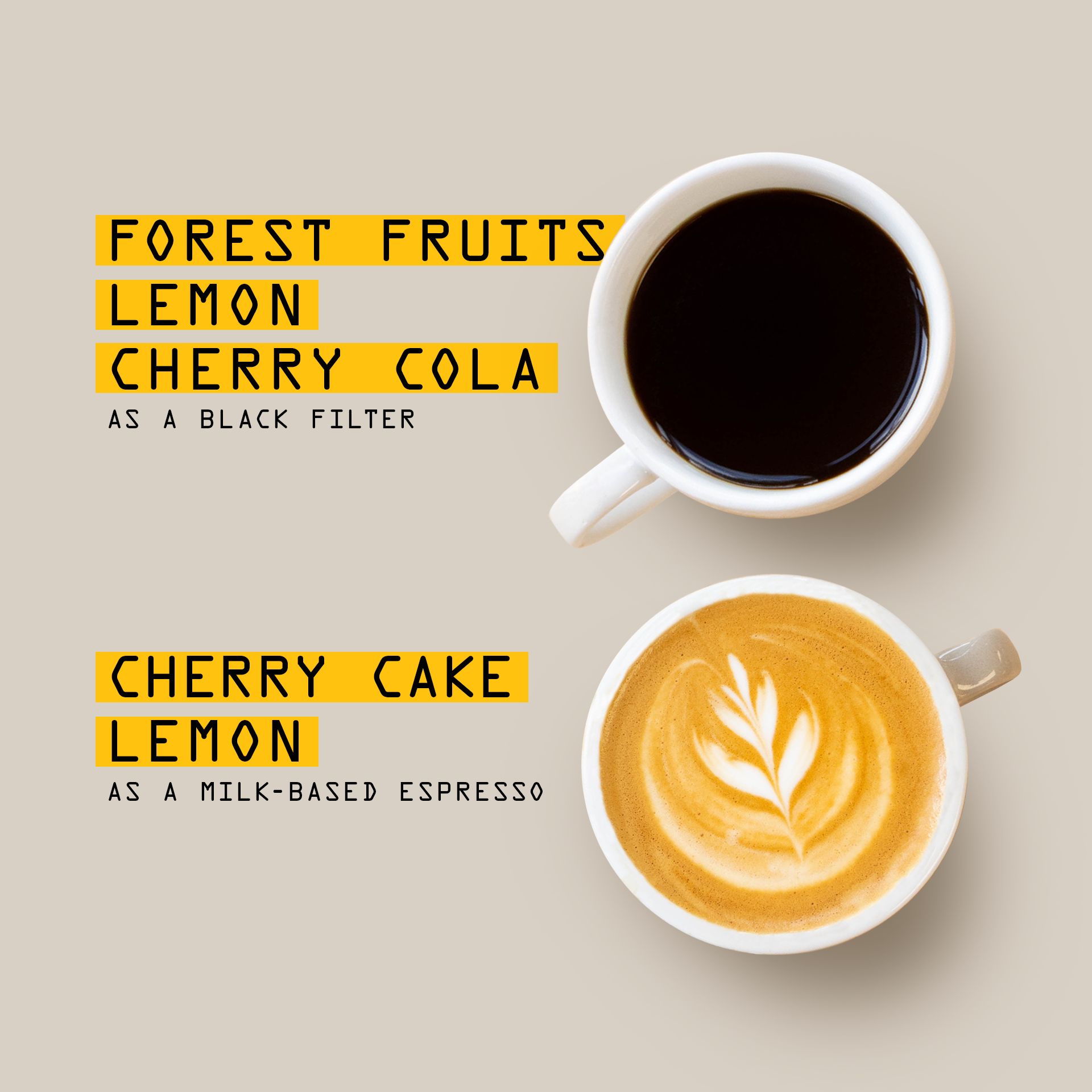 Rave Coffee Kenya Tegu AA Nº 380 cafea boabe 250g spălată