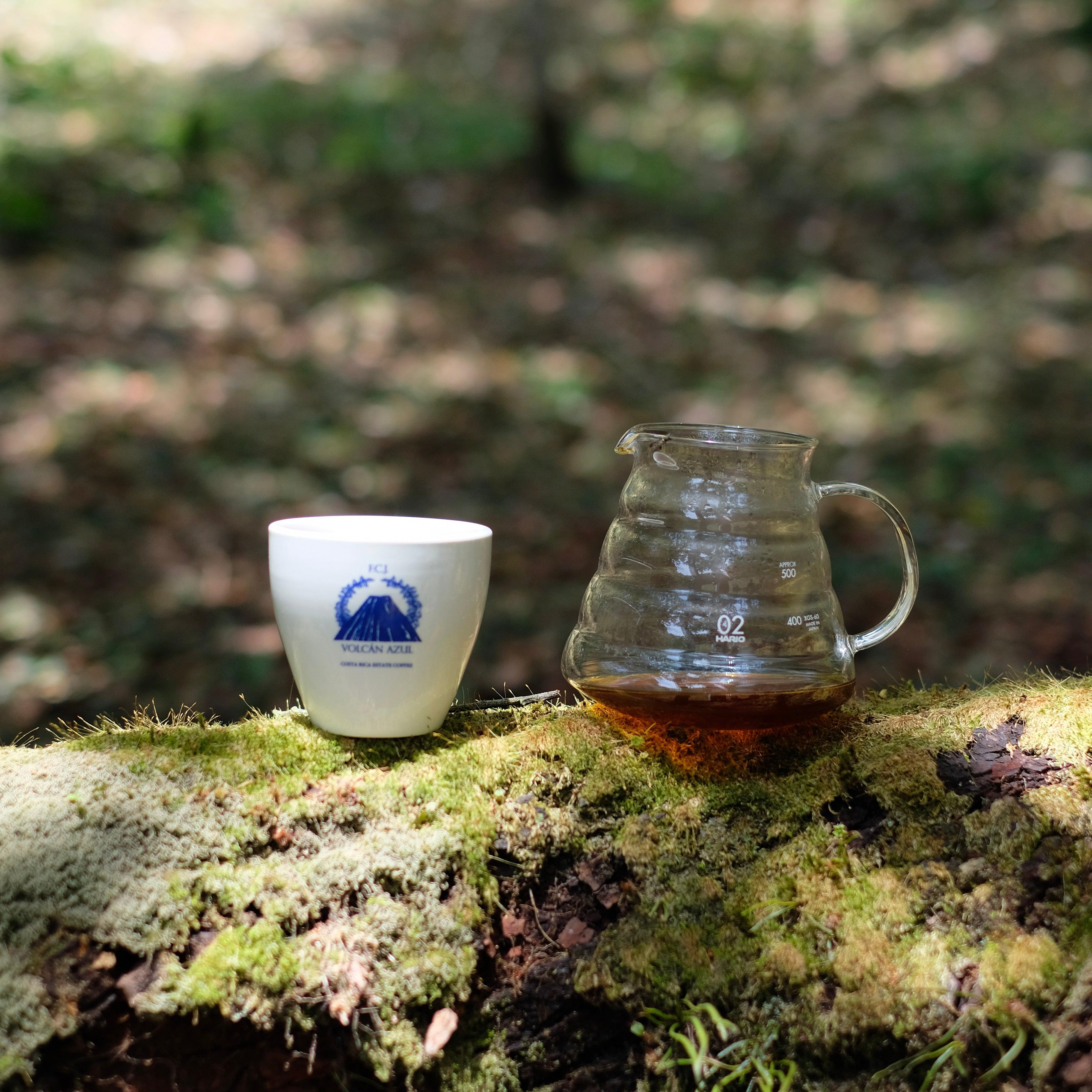 The Barn Volcan Azul cafea boabe 250g note de afine