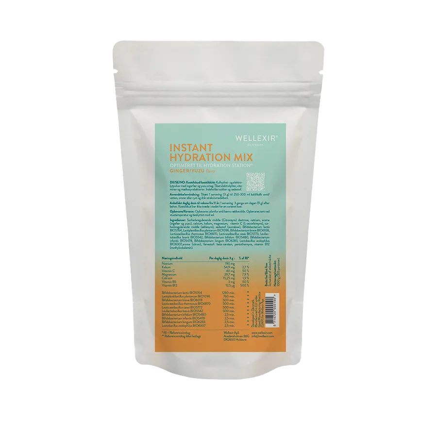 Wellexir Flow Hydration mix electroliti ghimbir yuzu 1 kg