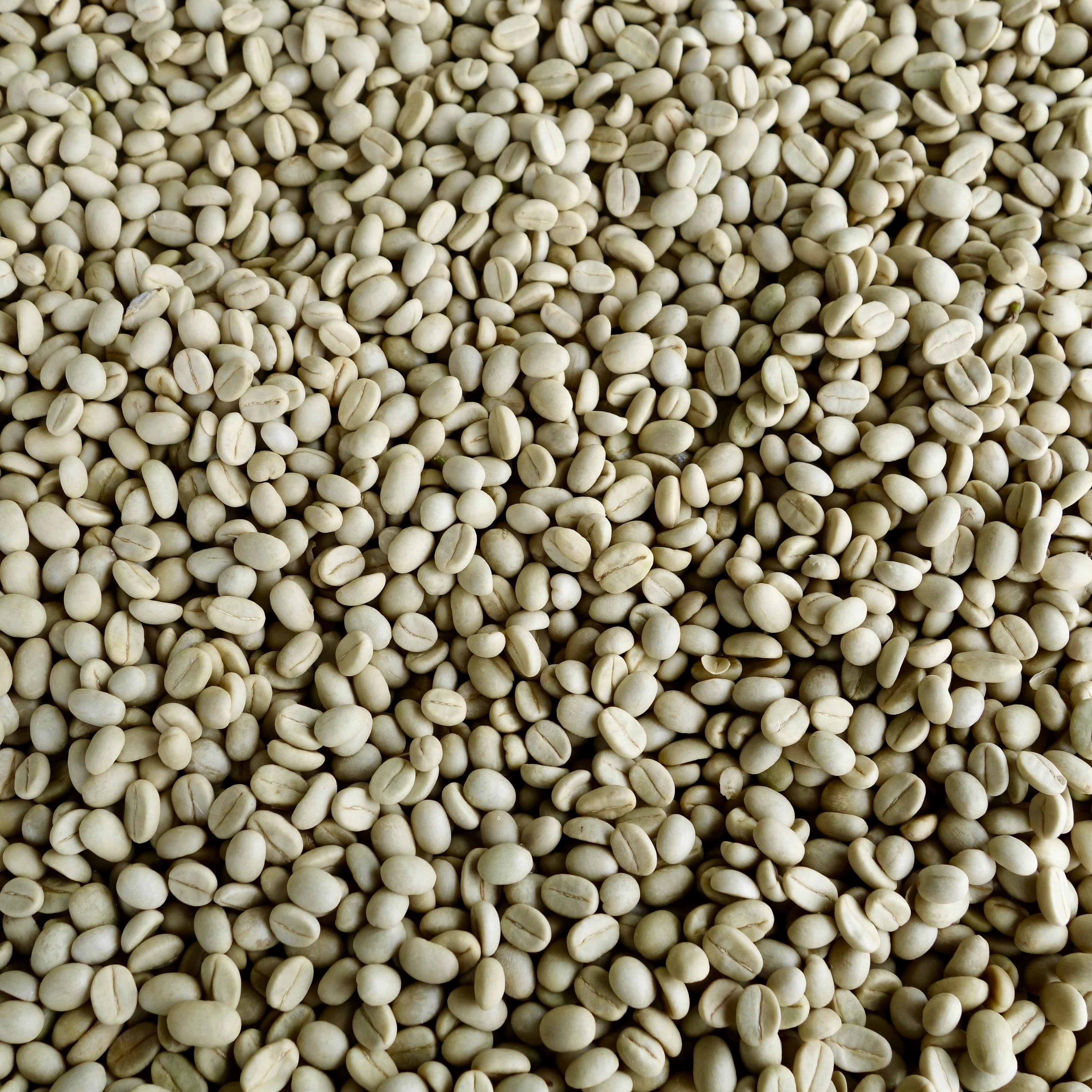 The Barn Gatare cafea boabe filtru 250g spălată
