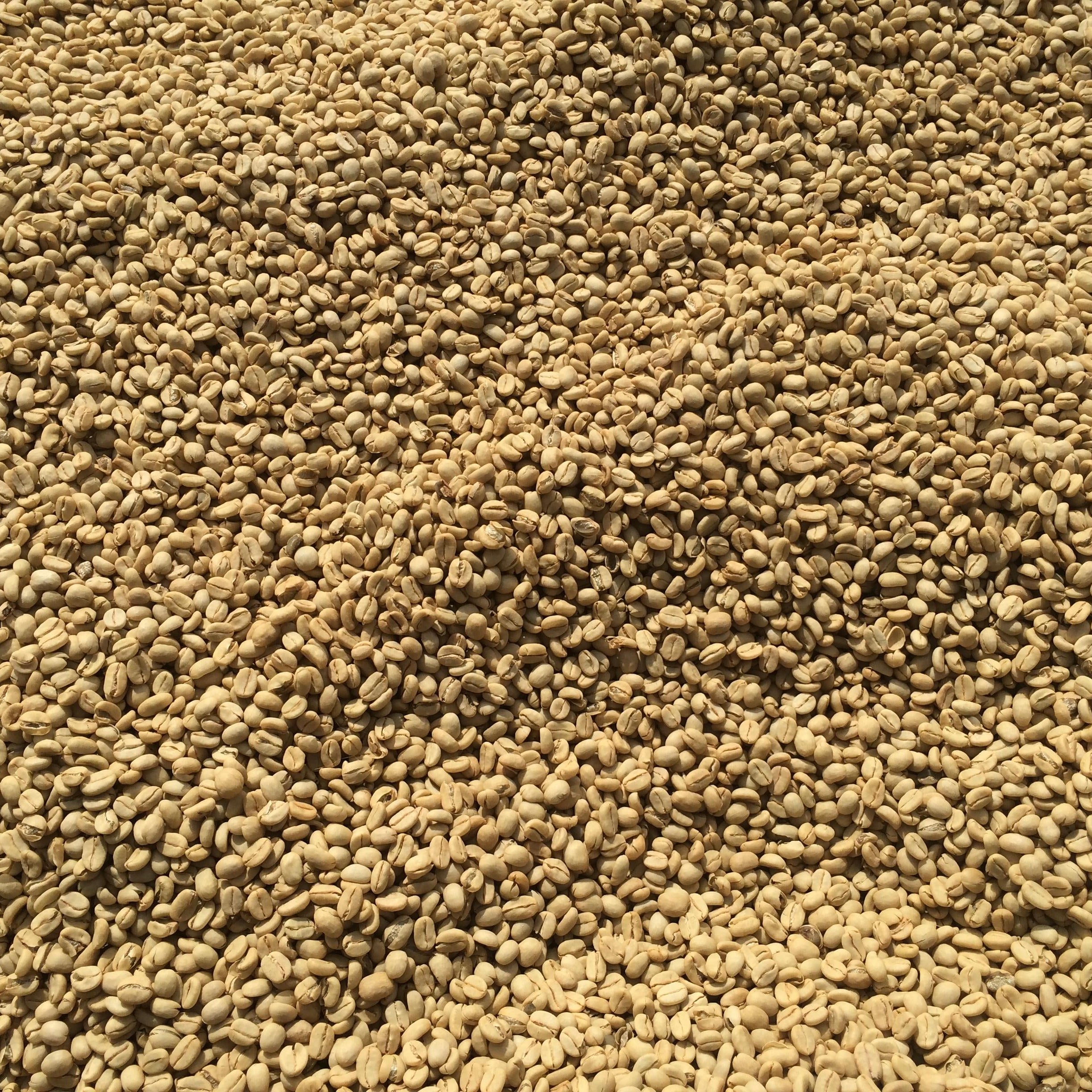 The Barn Nano Challa cafea boabe 250g spălată