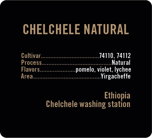 Apollon's Gold Chelchele cafea Etiopia 250g naturala