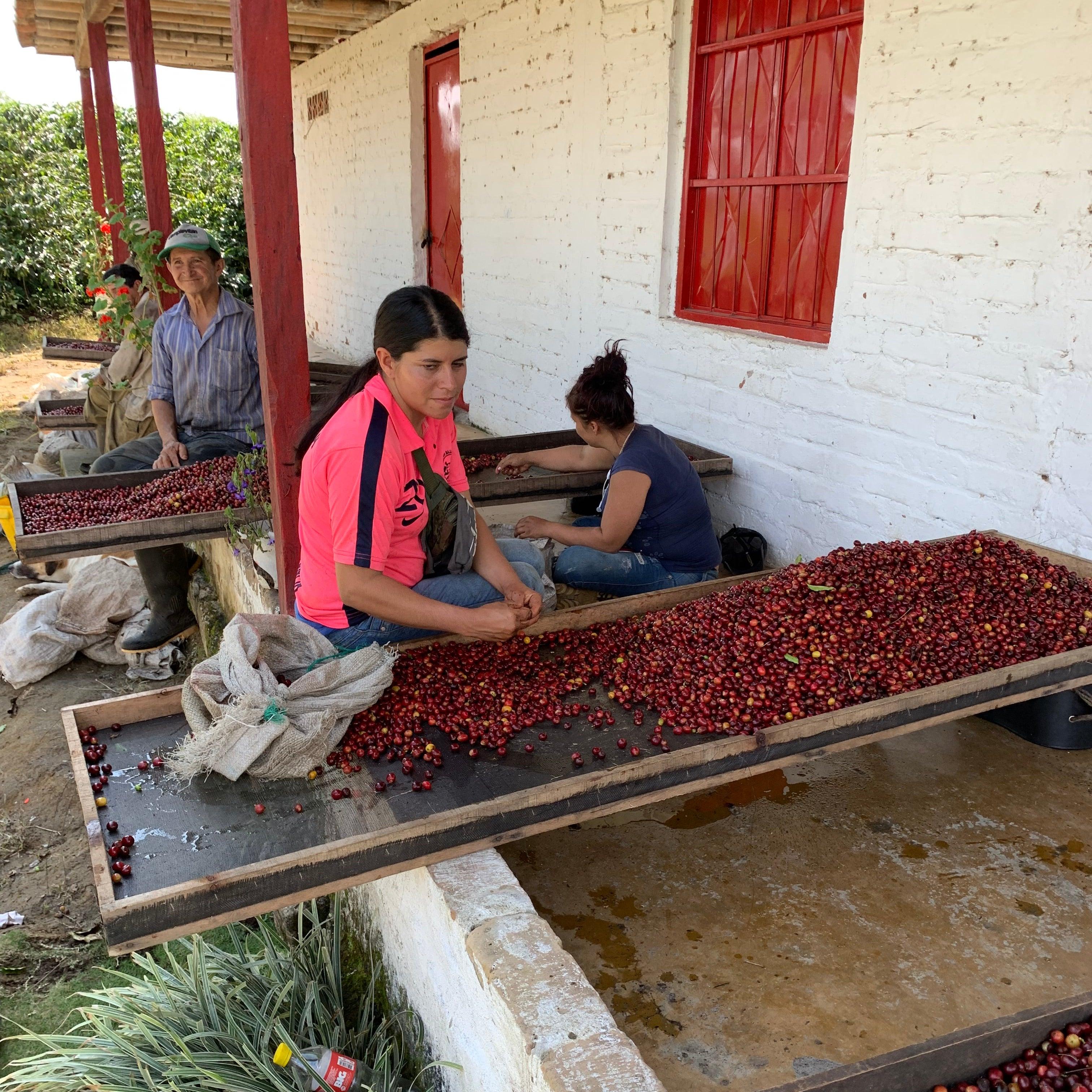 The Barn Casa Negra cafea boabe 250g espresso