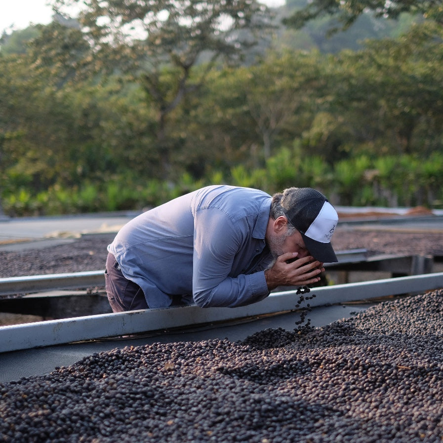 The Barn Himalaya Marsellesa cafea boabe 250g tropicala