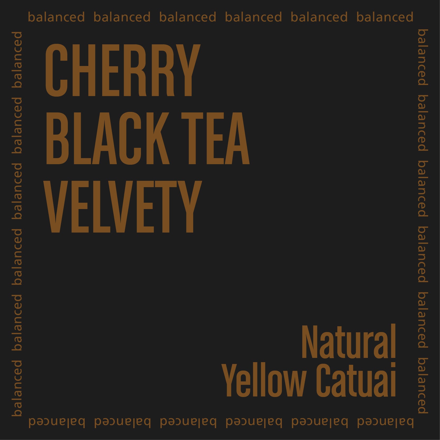The Barn Celso Minussi cafea boabe 250g prăjire filtru