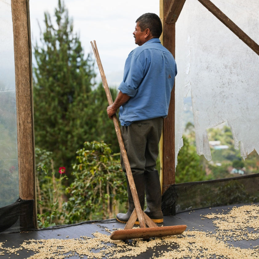 The Barn Finca El Faldon cafea boabe 250g spălată