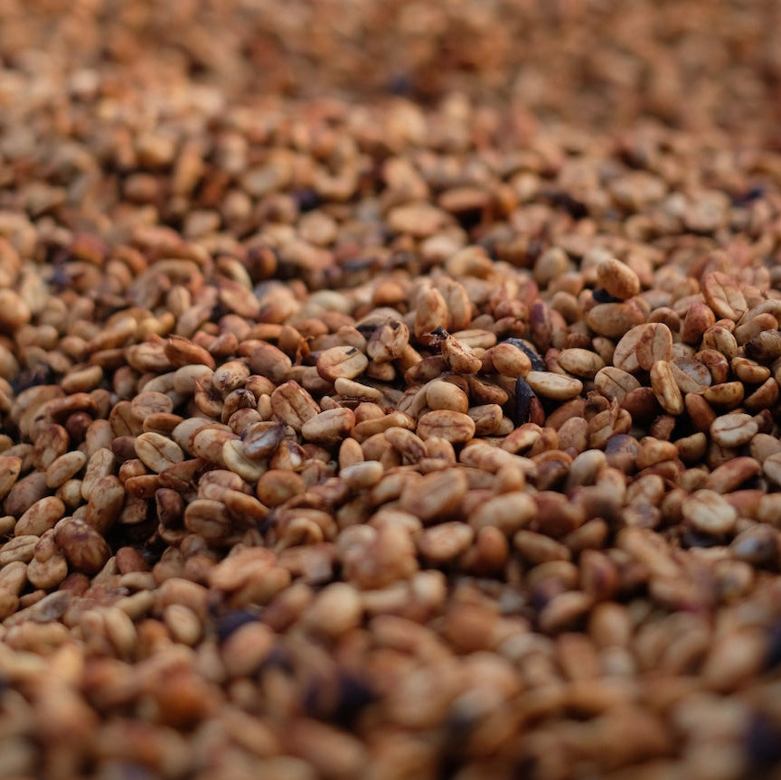 The Barn Volcan Azul Gesha Honey cafea boabe 200g